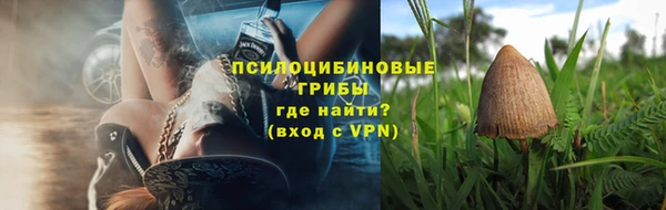 ГАЛЛЮЦИНОГЕННЫЕ ГРИБЫ Алексин
