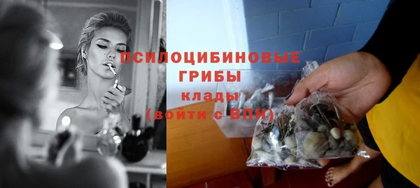 ГАЛЛЮЦИНОГЕННЫЕ ГРИБЫ Алексин