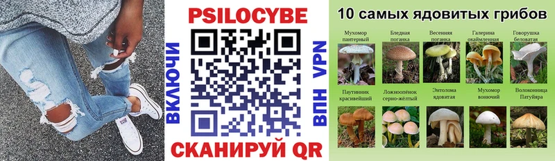 Галлюциногенные грибы GOLDEN TEACHER  Яровое 