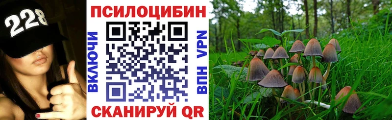 Псилоцибиновые грибы MAGIC MUSHROOMS Яровое